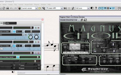 Magnus Choir VST plugin GUI
